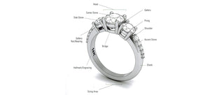 The Anatomy of a Ring