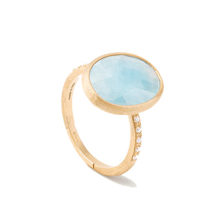 Bicego aqua ring
