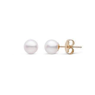 5mm Akoya studs
