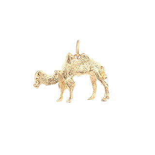 Camel charm