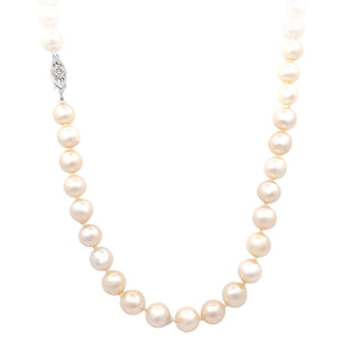 VIntage pearl necklace