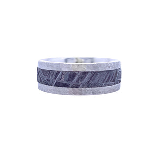 COBALT & METEORITE WEDDING BAND