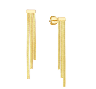 Snake Chain Earrings